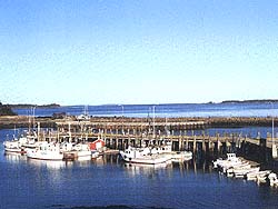 Lobster wharf & pound on Deer Island